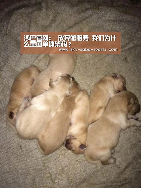 沙巴官网:
放弃微服务 我们为什么重回单体架构?(图2) 沙巴