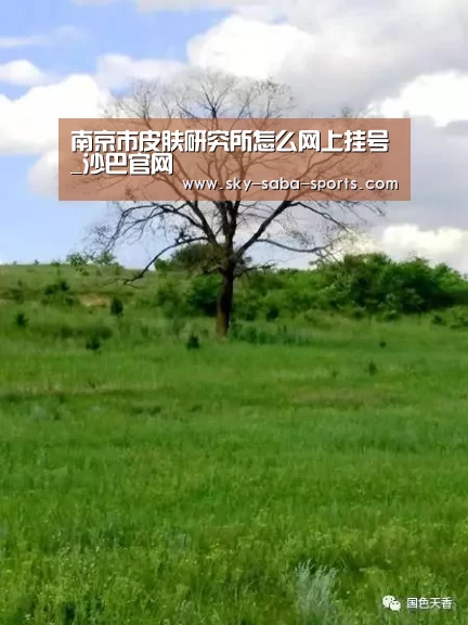 南京市皮肤研究所怎么网上挂号_沙巴官网(图2) 沙巴