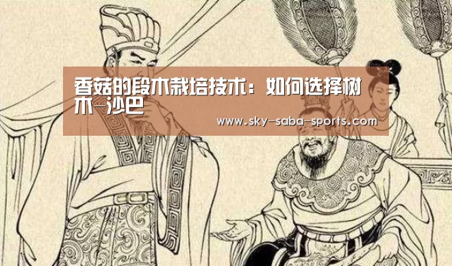 沙巴体育