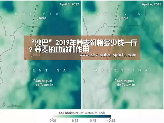 沙巴官网