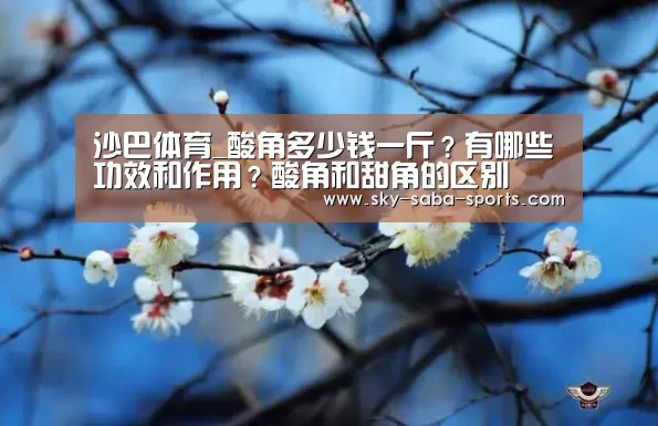 沙巴体育