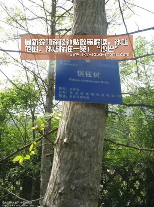 最新农机深松补贴政策解读,补贴范围、补贴标准一览!“沙巴”(图2) 沙巴