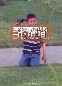 现在葡萄多少钱一斤?8月13日葡萄产区价格行情“沙巴官网”(图3) 沙巴