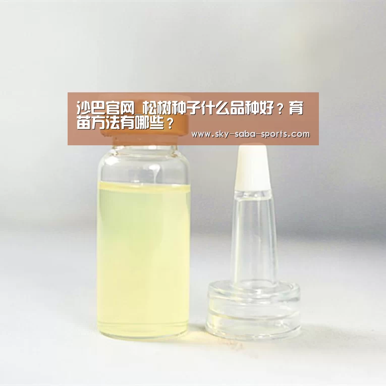 沙巴官网_松树种子什么品种好?育苗方法有哪些?(图1) 沙巴体育app