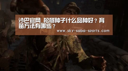 沙巴官网_松树种子什么品种好?育苗方法有哪些?(图2) 沙巴