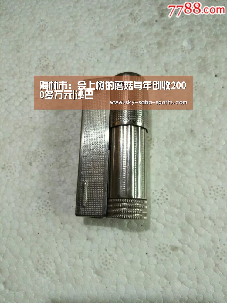 海林市:会上树的蘑菇每年创收2000多万元|沙巴(图2) 沙巴体育app