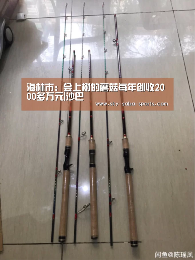 海林市:会上树的蘑菇每年创收2000多万元|沙巴(图3) 沙巴官网